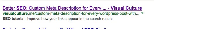 wp-google-snippet-visualculture-me